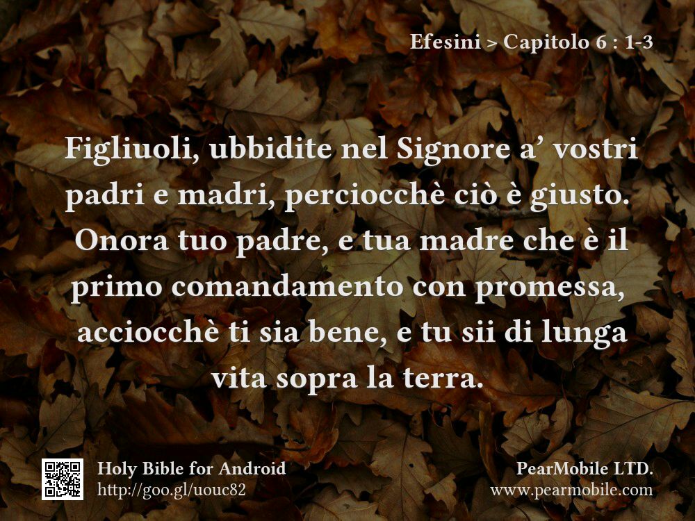 Efesini, Capitolo 6:1-3